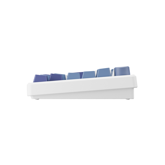 Teclado Mecánico Royal Kludge M75 | 75% | Conectividad tri-modo | Mini Pantalla OLED | Hot Swap | Español | Taro Milk | Español | RKM75TML